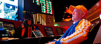 Вход на официальный сайт Lucky Duck Casino